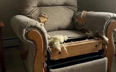 Recliner Repair 101: Troubleshooting Common Issues and When to Call the Pros